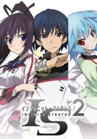Infinite-Stratos-2 (1)