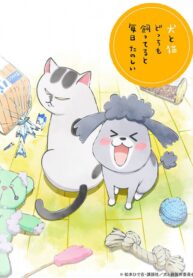 Inu-to-Neko-Docchi-mo-Katteru-to-Mainichi-Tanoshii-ซับไทย