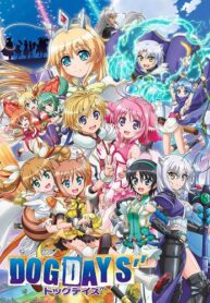 dog-days-3-5321