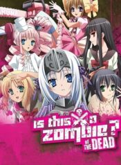 Kore-wa-Zombie-Desu-ka-of-the-Dead-2