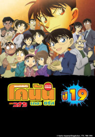 19
