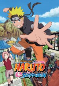Naruto-Shippuuden (1)