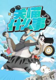 guan-miao-shenmeshi