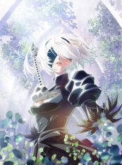 nier-automata-ver1.1a