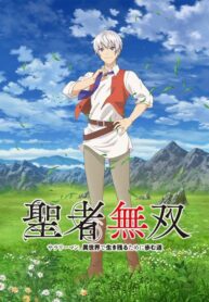 seija-musou-salaryman
