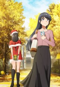 seishun-buta-yarou-wa-santa-claus-no-yume-wo-minai
