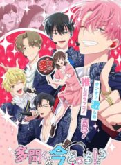 tamon-kun-ima-docchi